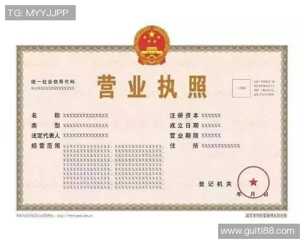 体育培训行业营业执照申请流程与注意事项全解析